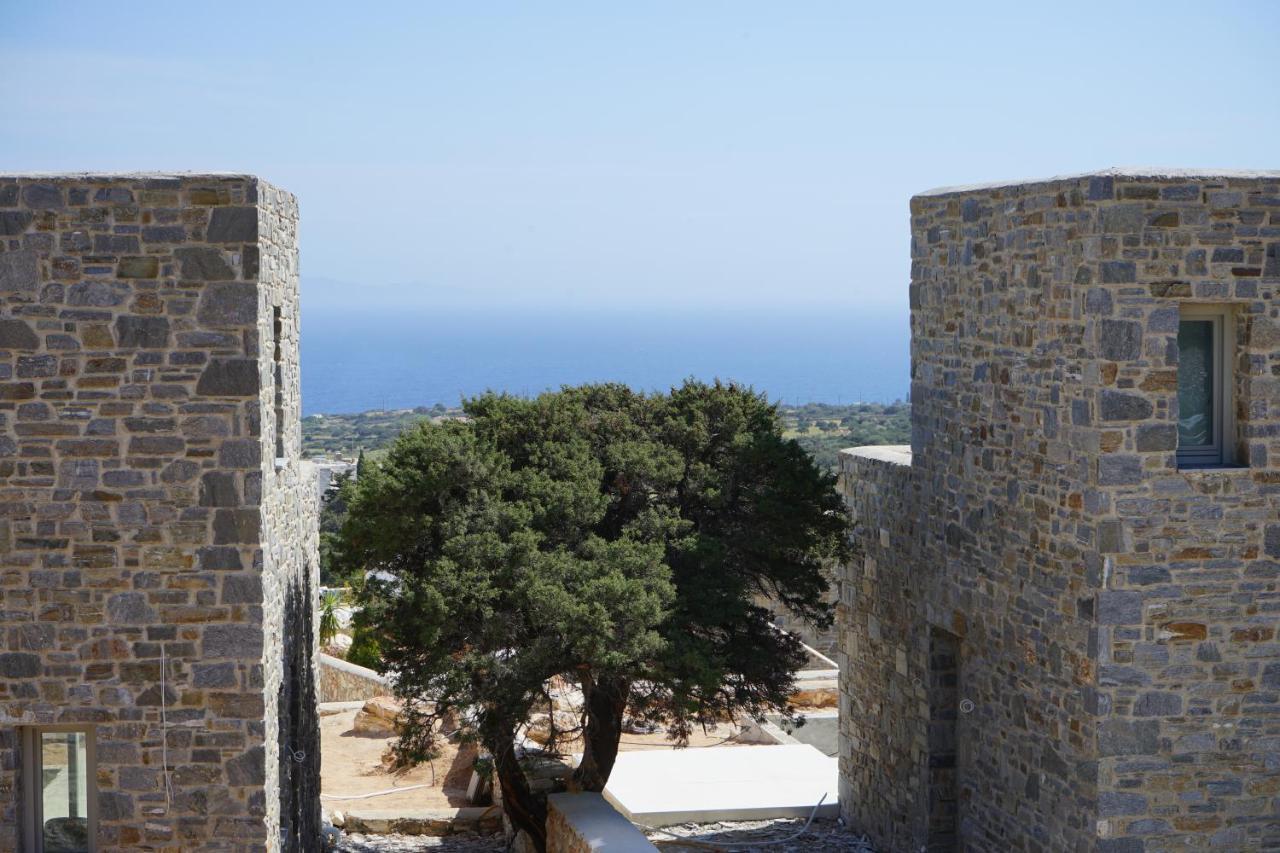 Paros-Memories-Neubau-Villen, Sportpool Aspro Chorio Exterior photo